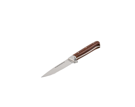 JSE Wüsteneisen N690 210mm Starre Klinge Messer