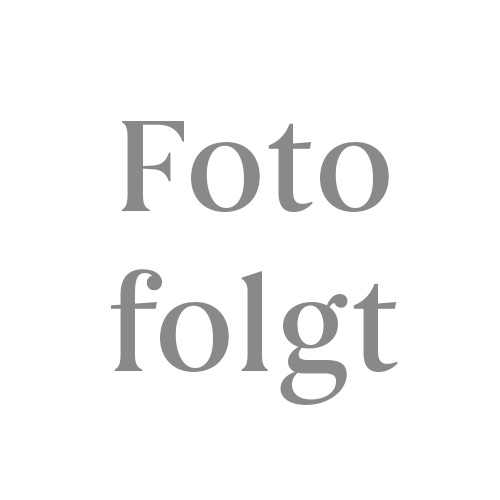 Leonidas GASTINGER